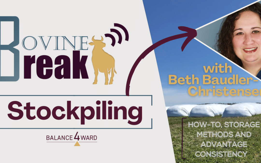 Bovine Break // Stockpiling